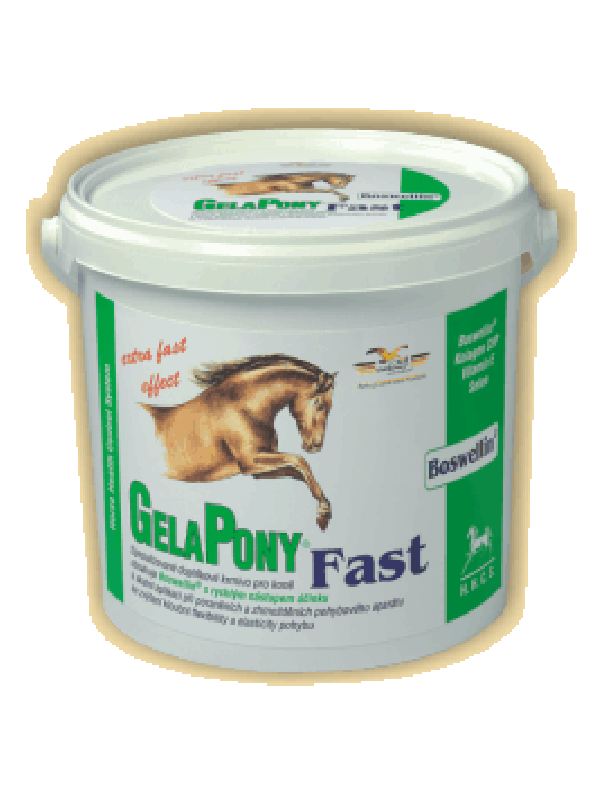 GelaPony Fast 1800g - ORLING