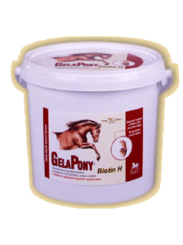 GelaPony, Biotin H 600g - Orling