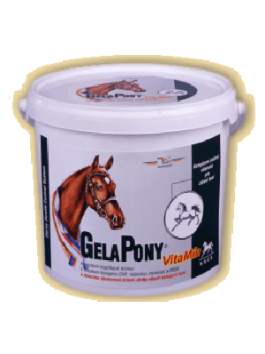 Gela Pony VitaMin 10,8kg - ORLING