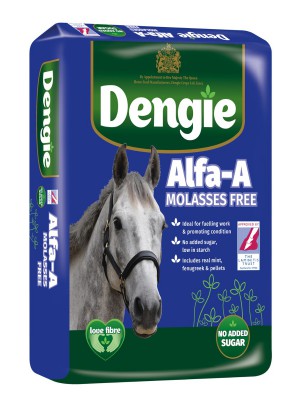DENGIE Alfa A Molasses Free 20 kg 24h