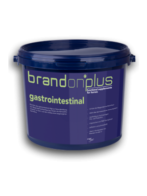 BRANDON PLUS, Leczenie wrzodów GASTROINTESTINAL 3 kg
