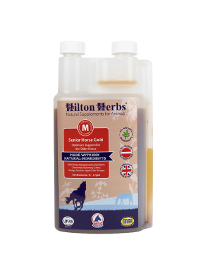Hilton Herbs Senior Horse Gold- wsparcie zdrowia 1L