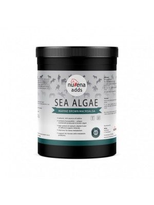 NuVena, Algi dla Koni, Sea Algae (Ascophyllum nodosum), 1500g 24h