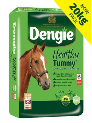 DENGIE, Sieczka dla koni z problemami gastrycznymi HEALTHY TUMMY, 20kg 24h