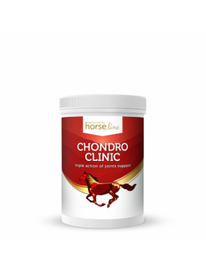 HORSELINE, Intensywne wsparcie w chorobie zwyrodnieniowej stawów CHONDRO CLINIC