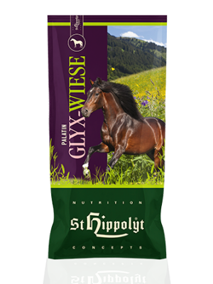 ST HIPPOLYT, Sieczka dla koni starszych PALATIN GLYX-WIESE SENIORFASEN, 15 kg