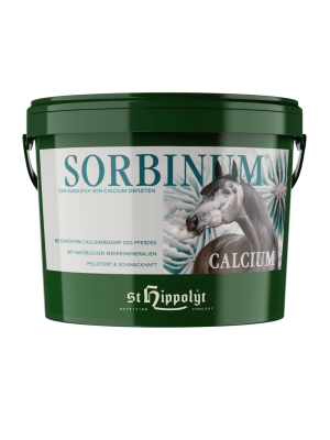 ST HIPPOLYT, Wapno CALCIUM SORBINUM, 10kg, KRÓTKA DATA