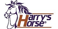 Harry's Horse